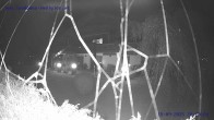 Archiv Foto Webcam Sankt Gallenkirch, Vorarlberg 19:00