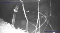 Archiv Foto Webcam Sankt Gallenkirch, Vorarlberg 01:00