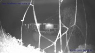 Archived image Webcam St. Gallenkirch, Vorarlberg 23:00