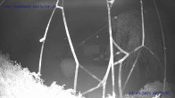 Archived image Webcam St. Gallenkirch, Vorarlberg 01:00