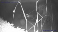 Archiv Foto Webcam Sankt Gallenkirch, Vorarlberg 03:00