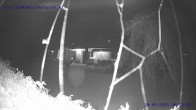Archiv Foto Webcam Sankt Gallenkirch, Vorarlberg 23:00