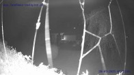 Archiv Foto Webcam Sankt Gallenkirch, Vorarlberg 01:00