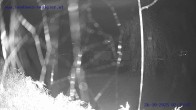Archived image Webcam St. Gallenkirch, Vorarlberg 01:00