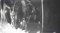 Archived image Webcam St. Gallenkirch, Vorarlberg 03:00