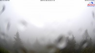 Archived image Webcam Großer Arber mountain 11:00