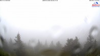 Archived image Webcam Großer Arber mountain 13:00