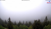 Archiv Foto Webcam Großer Arber 11:00
