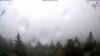 Archiv Foto Webcam Großer Arber 11:00