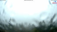 Archiv Foto Webcam Großer Arber 08:00
