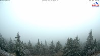 Archiv Foto Webcam Großer Arber 08:00