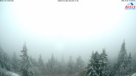 Archiv Foto Webcam Großer Arber 09:00