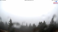 Archived image Webcam Großer Arber mountain 11:00