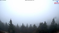 Archived image Webcam Großer Arber mountain 15:00