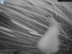 Archiv Foto Webcam Les Aiguilles de Charmonix 01:00
