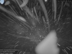 Archiv Foto Webcam Les Aiguilles de Charmonix 06:00