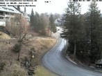 Archiv Foto Webcam Haus am Walde, Schmallenberg-Nordenau 11:00