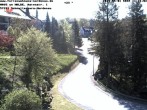 Archiv Foto Webcam Haus am Walde, Schmallenberg-Nordenau 09:00