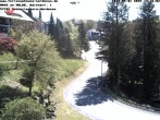 Archiv Foto Webcam Haus am Walde, Schmallenberg-Nordenau 11:00
