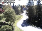 Archiv Foto Webcam Haus am Walde, Schmallenberg-Nordenau 11:00