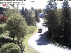 Archiv Foto Webcam Haus am Walde, Schmallenberg-Nordenau 11:00