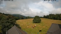 Archiv Foto Webcam Schäferhof im Sauerland 09:00