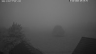 Archiv Foto Webcam Schäferhof im Sauerland 01:00