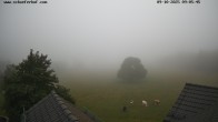 Archiv Foto Webcam Schäferhof im Sauerland 06:00