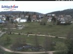 Archived image Webcam Schluchsee: recreation area Wiesengrundpark 11:00