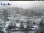 Archived image Webcam Schluchsee: recreation area Wiesengrundpark 13:00