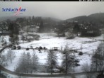 Archived image Webcam Schluchsee: recreation area Wiesengrundpark 11:00