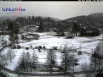 Archived image Webcam Schluchsee: recreation area Wiesengrundpark 13:00