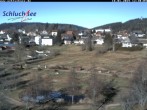 Archived image Webcam Schluchsee: recreation area Wiesengrundpark 11:00