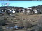 Archived image Webcam Schluchsee: recreation area Wiesengrundpark 13:00