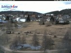 Archiv Foto Webcam Schluchsee: Wiesengrundpark 13:00