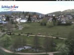 Archiv Foto Webcam Schluchsee: Wiesengrundpark 11:00