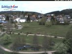 Archiv Foto Webcam Schluchsee: Wiesengrundpark 11:00