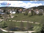 Archiv Foto Webcam Schluchsee: Wiesengrundpark 13:00