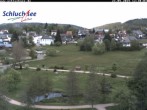 Archived image Webcam Schluchsee: recreation area Wiesengrundpark 11:00