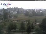 Archived image Webcam Schluchsee: recreation area Wiesengrundpark 11:00