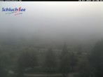 Archiv Foto Webcam Schluchsee: Wiesengrundpark 06:00