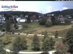 Archived image Webcam Schluchsee: recreation area Wiesengrundpark 11:00