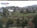 Archiv Foto Webcam Schluchsee: Wiesengrundpark 08:00