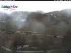 Archiv Foto Webcam Schluchsee: Wiesengrundpark 13:00