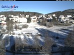 Archived image Webcam Schluchsee: recreation area Wiesengrundpark 08:00