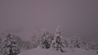 Archiv Foto Webcam Panorama Rock Isle Lake 01:00