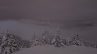 Archived image Webcam Panorama Rock Isle Lake 01:00