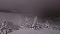 Archived image Webcam Panorama Rock Isle Lake 05:00