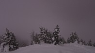 Archiv Foto Webcam Panorama Rock Isle Lake 01:00