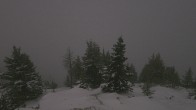 Archiv Foto Webcam Panorama Rock Isle Lake 03:00